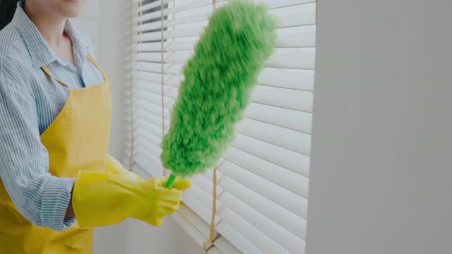 Young asian woman cleaning house wiping dust using Feather broom and duster while cleaning on window House keeping concept