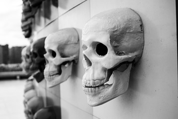 Skulls on the wall.