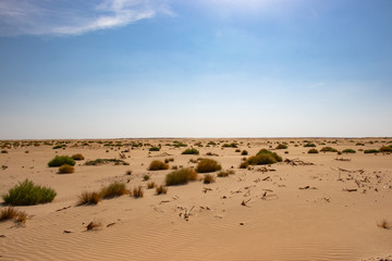 Fototapeta na wymiar Rub al Khali the empty quarter between Oman and Saudi Arabia near Salalah