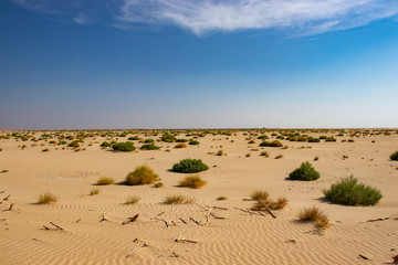 Rub al Khali the empty quarter between Oman and Saudi Arabia near Salalah