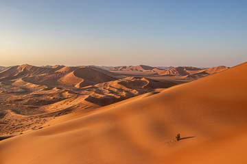 Fototapeta na wymiar Dunes in Rub al Khali the empty quarter between Oman and Saudi Arabia near Salalah