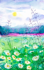 Watercolor illustration of a Russian field with daisies against the background of a forest and the setting sun