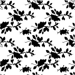 barberry branch simple graphic drawing