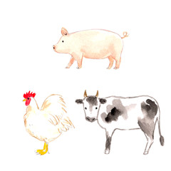 ほっこり　かわいい　イラスト素材　ニワトリ・牛・豚の手描き水彩イラスト　イラストセット　家畜　畜産　酪農　イラスト素材　グラフィック素材　手描き　手書き　水彩　絵本
