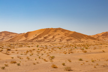 Dunes in Rub al Khali the empty quarter between Oman and Saudi Arabia near Slalah