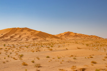 Fototapeta na wymiar Dunes in Rub al Khali the empty quarter between Oman and Saudi Arabia near Slalah