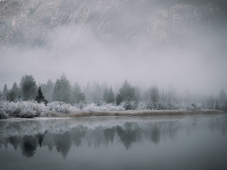 Reflection on Lake Bohinj, Slovenia
