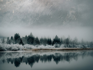 Fototapeta premium Reflection on Lake Bohinj, Slovenia