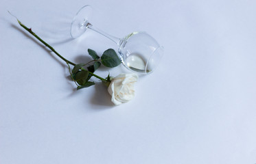 Laying glass with white wine and rose flower on white background