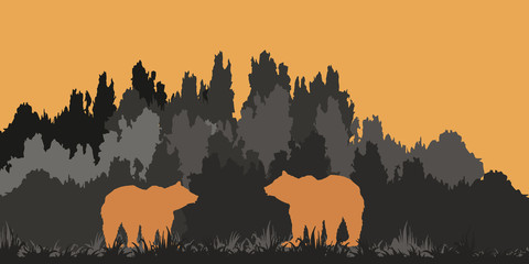 isolated silhouette of a drawn bear against a dark forest background