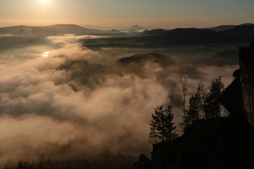 Nebellandschaft im Nationalpark Sächsische Schweiz