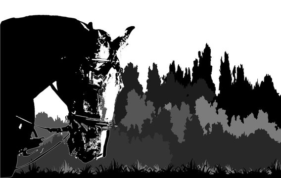 isolated graphic monochrome portrait of a horse against a dark forest background 
