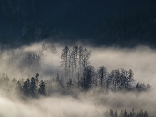 Nebellandschaft im Nationalpark Sächsische Schweiz