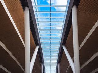 wood-paneled ceiling of a modern building with large glass windows and columns