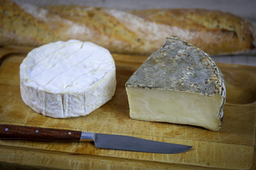  saint-nectaire et camembert (fromage français)