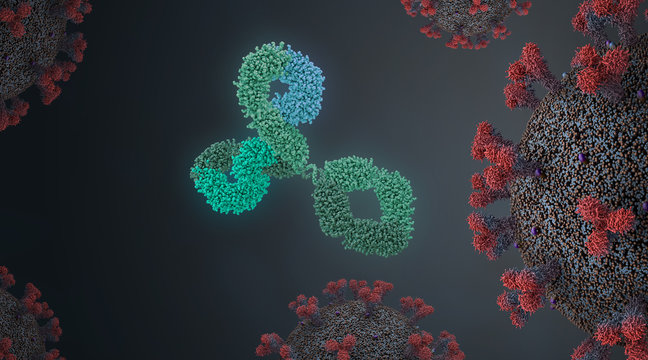 Immunoglobulin or antibody protein surrounded by virus cells - 3d illustration