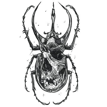 Beetle with skull in graphic style