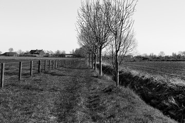  the walking path runs between the meadow fence and a row of tree