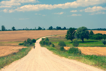 Obraz premium Dirt road in the field on a bright summer day