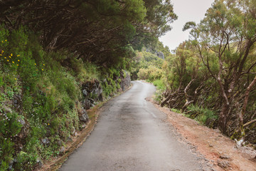 Madeira mountain road