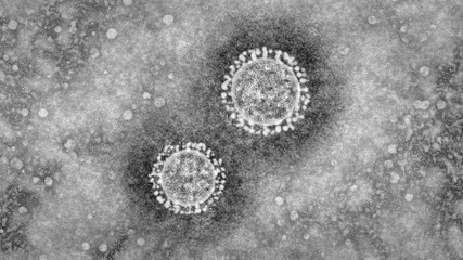 novel virus