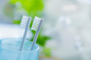 洗面所の歯ブラシ