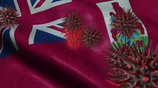 3D Spreading Coronavirus Disease on a Waving Bermuda Flag
