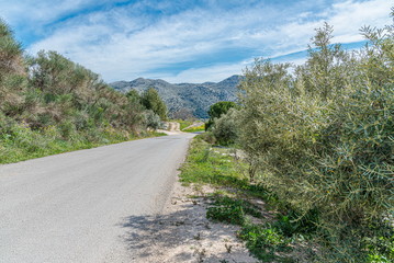 Fototapeta na wymiar Mountain road through country with blue sky clouds.