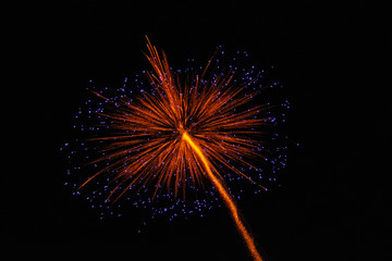 Fireworks light up the sky with dazzling display