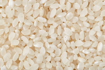 Rice texture close up. Natural rice background and texture. White long grain rice. Jasmin rice