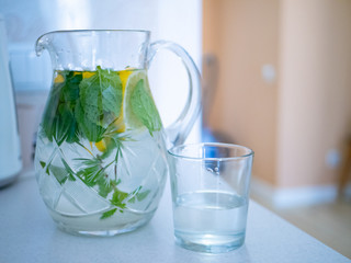 jug of tonic water lemonade with mint leaves and lemon wedges and one glass cup. perfect refreshing beverage drink for thirst on a hot day