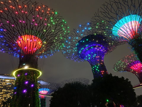 Beauty Images Browse 48 943 339 Stock Photos Vectors And Video