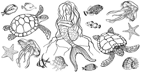 Hand drawn mermaid and jellyfish, sea turtle, fish isolated on white background. Back and white vector illustration. Marine set. Template for card, print, coloring book, banners, poster for textiles.