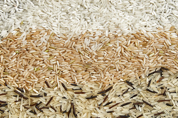 Mix of different types of rice. Rice texture close up. White long grain rice. Jasmin rice, wild rice