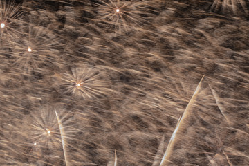 firework