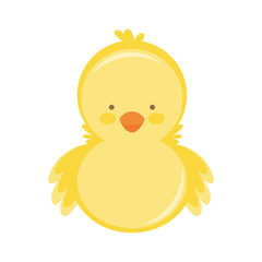 Cartoon cute little yellow chick. vector illustration