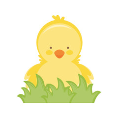 Cartoon cute little yellow chick. vector illustration