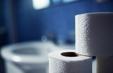 Soft Toilet paper in bathroom