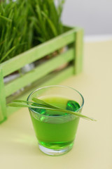 Green organic wheat grass drink and young grass in the green wooden box