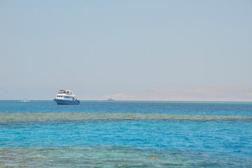 Sun set on the beach in Egypt north coast / dahab / hurgada / sharm el sheikh / taba / alexandria  - best place for vacation - holiday relaxation beach sand inspiration happiness tanning sunny 