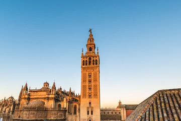 Fototapeta premium Giralda in the city of Seville in Andalusia, Spain.