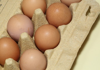Fresh eggs in cartoon box close up top view