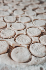 Fototapeta na wymiar Cut circles for dumplings, texture from the dough.