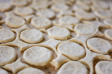 Fototapeta na wymiar Rolled dough with sliced circles for dumplings, texture.