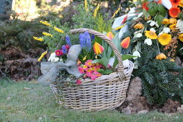 Korb mit Frühlingsblumen auf dem Friedhof nach Beerdigung