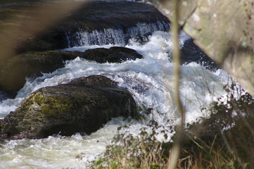 waterfall in the forest