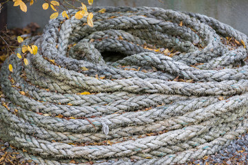 Old grey mooring rope with orange autumn leafs.