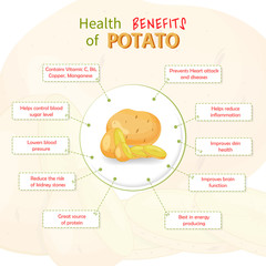 Health Benefits of potato. Potatoes nutrients infographic template vector illustration