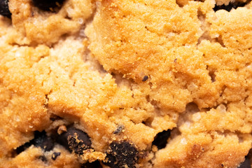 Close-up cookie with chocolate chip texture with selective focus. Bakery and pastry background