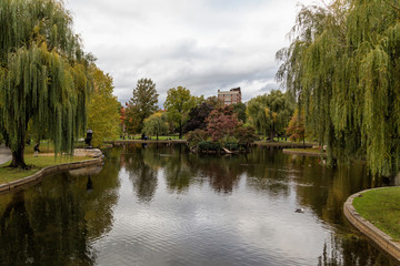 Fototapeta premium Colors of Autumn in Boston, Massachusetts